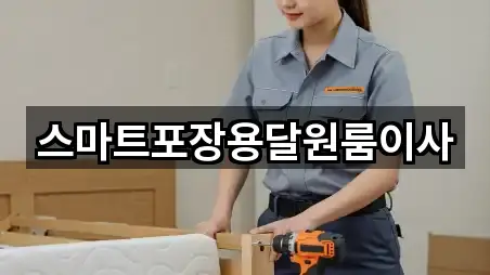 스마트포장용달원룸이사