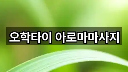 오학타이 아로마마사지