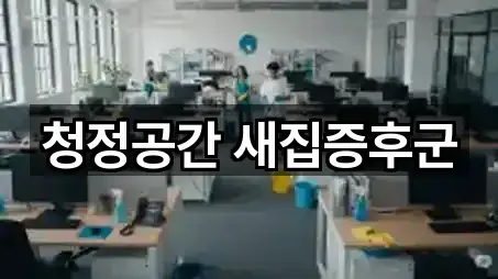 청정공간 새집증후군