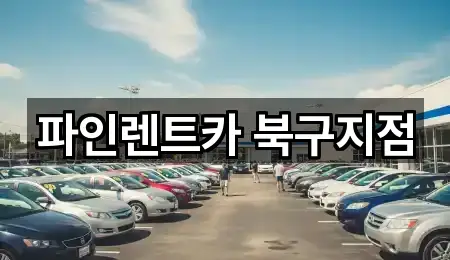 파인렌트카 북구지점