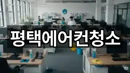 경기도 평택 독곡동청소 5곳 주소 빠른접속