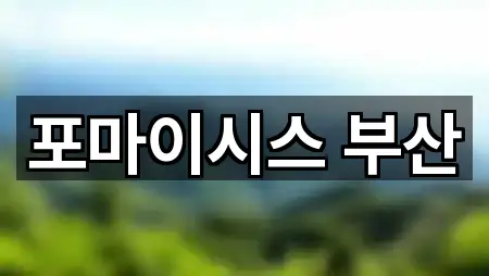 포마이시스 부산