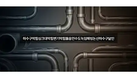 하수구막힘싱크대막힘변기막힘뚫음언수도녹임해빙논산하수구달인