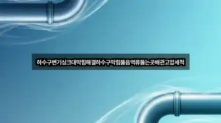 하수구변기싱크대막힘해결하수구막힘뚫음역류뚫는곳배관고압세척