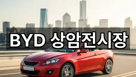 고양시 덕은동 자동차전시장 5곳 주소 빠른접속