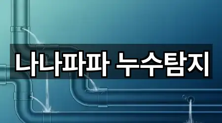 나나파파 누수탐지