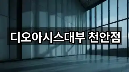 디오아시스대부 천안점