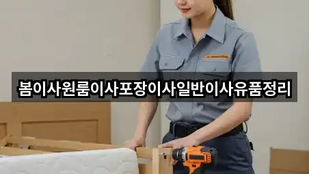 봄이사원룸이사포장이사일반이사유품정리