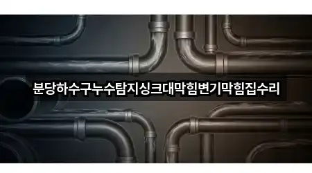 분당하수구누수탐지싱크대막힘변기막힘집수리