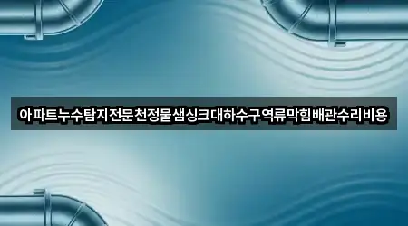 아파트누수탐지전문천정물샘싱크대하수구역류막힘배관수리비용