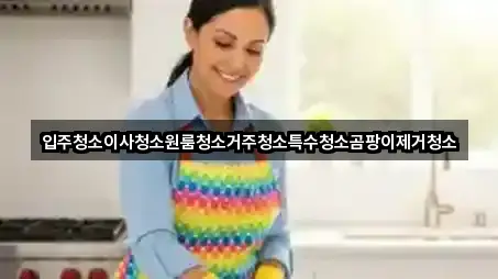 입주청소이사청소원룸청소거주청소특수청소곰팡이제거청소