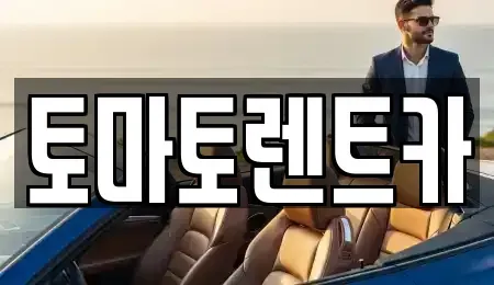 경기 성남시 중원구 은행동 렌트카 전문 토마토렌트카