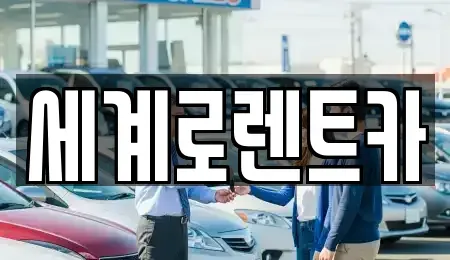 경기 안산시 단원구 신길동 렌트카 전문 세계로렌트카