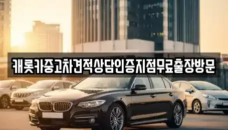 경기 안성시 영동 중고차 전문 캐롯카중고차견적상담인증지점무료출장방문
