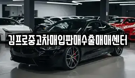 경기 안성시 영동 중고차매입 전문 김프로중고차매입판매수출매매센터