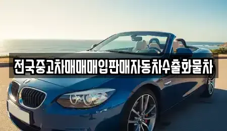 경기 양주시 봉양동 중고차 전문 전국중고차매매매입판매자동차수출화물차