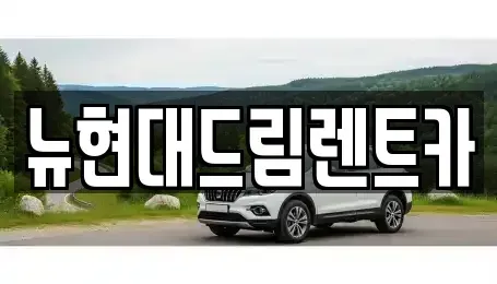 경기도 성남시 분당구 동원동 렌트카 전문 뉴현대드림렌트카