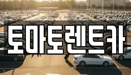 경기도 성남시 분당구 동원동 렌트카 전문 토마토렌트카