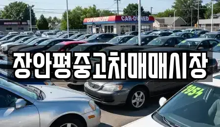 경기도 성남시 분당구 동원동 중고차매매 전문 장안평중고차매매시장