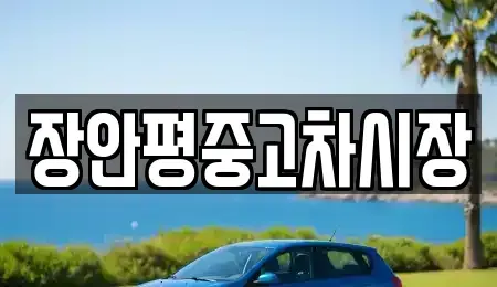 경기도 성남시 분당구 동원동 중고차매매 전문 장안평중고차시장
