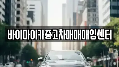 경기도 성남시 분당구 동원동 중고차매입 전문 바이마이카중고차매매매입센터