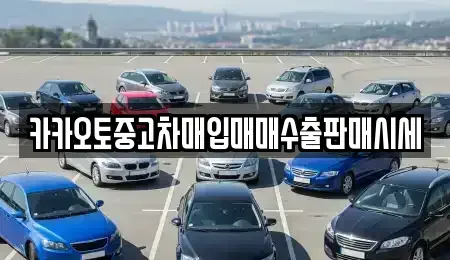 경기도 성남시 분당구 동원동 중고차매입 전문 카카오토중고차매입매매수출판매시세