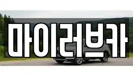 경기도 수원시 영통구 신동 중고차 전문 마이러브카