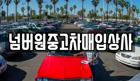 경기도 하남시 중고차 전문 넘버원중고차매입상사
