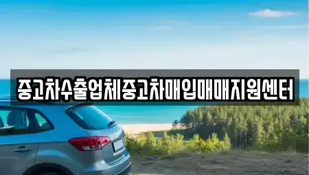 경기도 하남시 중고차매입 전문 중고차수출업체중고차매입매매지원센터