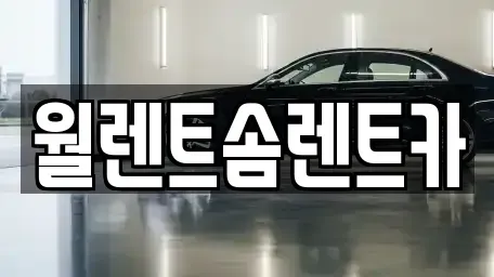 경기도 화성시 기산동 렌트카 전문 월렌트솜렌트카