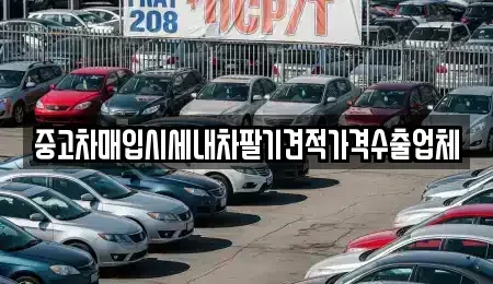경기도 화성시 기산동 중고차매매 전문 중고차매입시세내차팔기견적가격수출업체