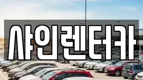 경기도 화성시 오산동 렌트카 전문 샤인렌터카