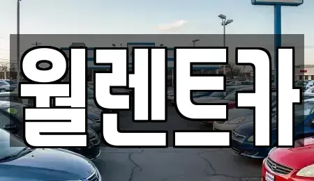 경기도 화성시 오산동 렌트카 전문 월렌트카