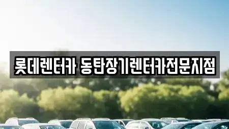 경기도 화성시 오산동 장기렌트카 전문 롯데렌터카 동탄장기렌터카전문지점