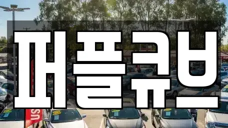 경기도 화성시 오산동 장기렌트카 전문 퍼플큐브