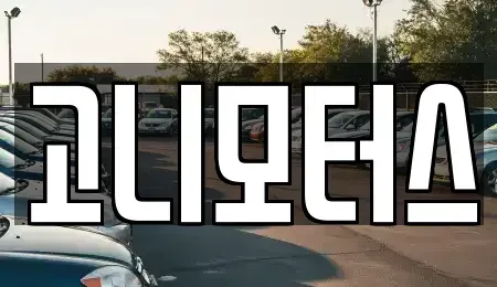 경북 경산시 중고차 전문 고니모터스