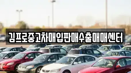 경북 의성군 단촌면 중고차매입 전문 김프로중고차매입판매수출매매센터