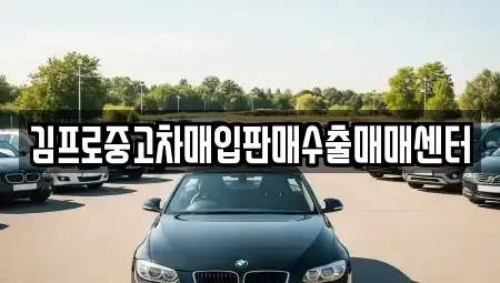 경상남도 창원시 성산구 남산동 중고차매입 전문 김프로중고차매입판매수출매매센터