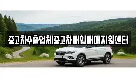 경상남도 창원시 성산구 삼동동 중고차매입 전문 중고차수출업체중고차매입매매지원센터