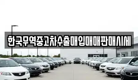 경상남도 창원시 진해구 풍호동 중고차 전문 한국무역중고차수출매입매매판매시세