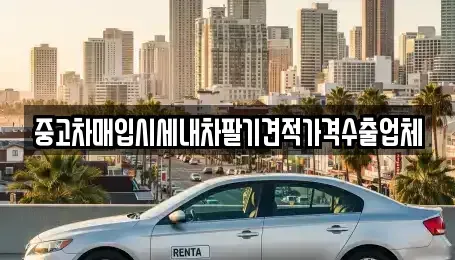 경상남도 창원시 진해구 풍호동 중고차매입 전문 중고차매입시세내차팔기견적가격수출업체