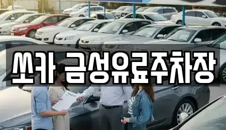 경상북도 안동시 서부동 렌트카 전문 쏘카 금성유료주차장