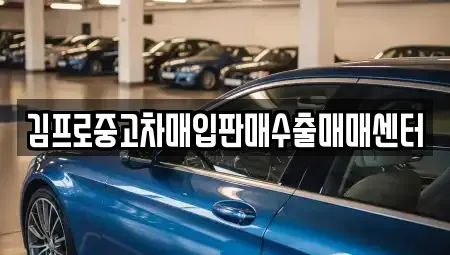 경상북도 안동시 서부동 중고차매입 전문 김프로중고차매입판매수출매매센터