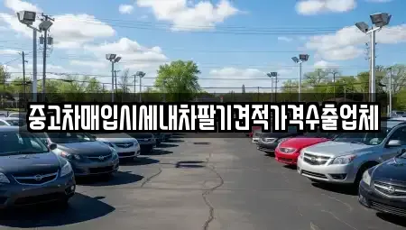 경상북도 안동시 서부동 중고차매입 전문 중고차매입시세내차팔기견적가격수출업체