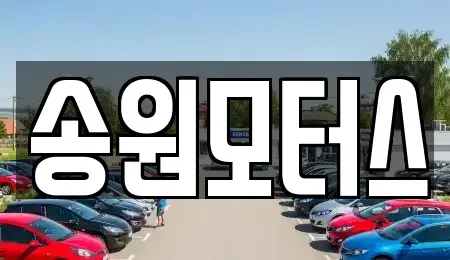 광주 남구 양과동 중고차매입 전문 송원모터스