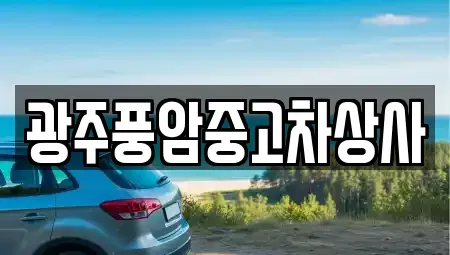 광주 남구 양촌동 중고차매매,단기렌트카,중고차매입,장기렌트카,중고차,렌트카