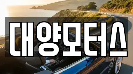 광주 남구 양촌동 중고차매매 전문 대양모터스