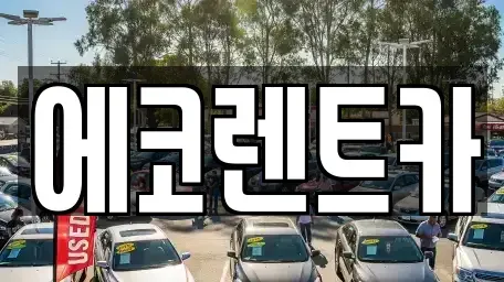 광주 북구 신용동 렌트카 전문 에코렌트카