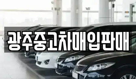 광주 북구 신용동 중고차 전문 광주중고차매입판매