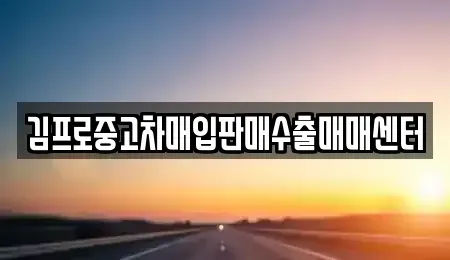 광주광역시 광산구 지정동 중고차매입 전문 김프로중고차매입판매수출매매센터